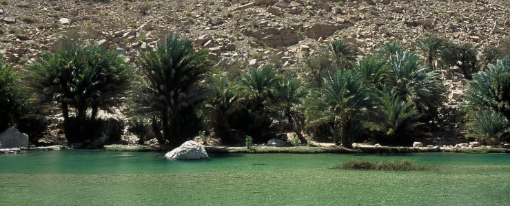 Wallow in Wadi