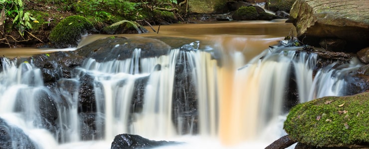 Karura Forest