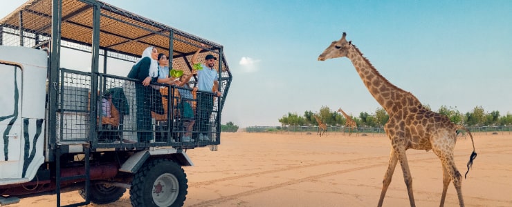 Riyadh Zoo