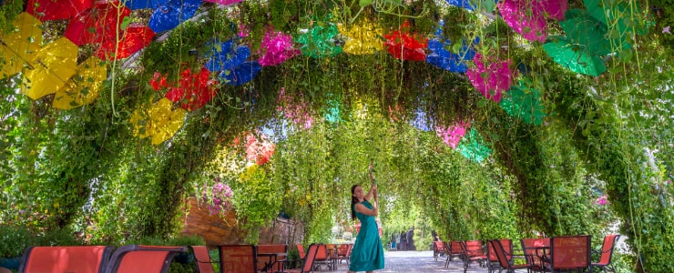 Umbrella Tunnel in Miracle Garden