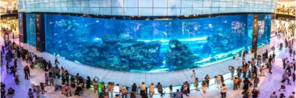 Dubai Aquarium And Underwater Zoo