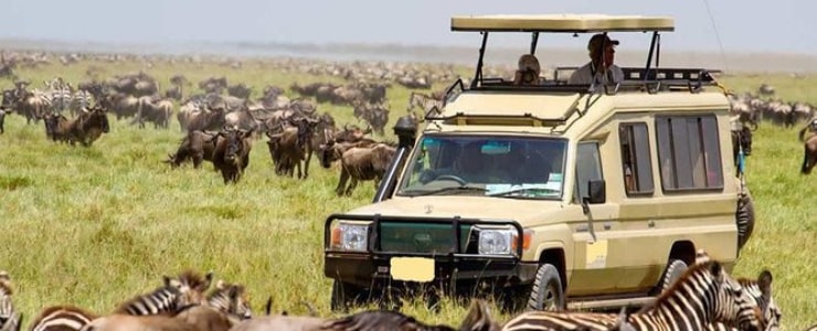Wildlife Safari at Nairobi National Park