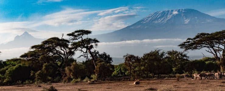 Mt. Kilimanjaro