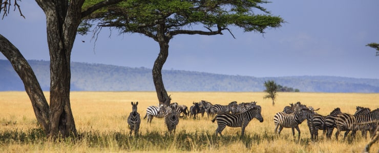 Serengeti National Park