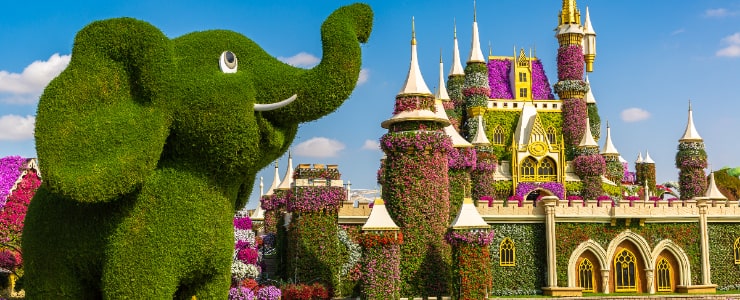 Dubai Miracle Garden