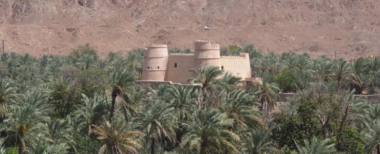 al bithnah fort 