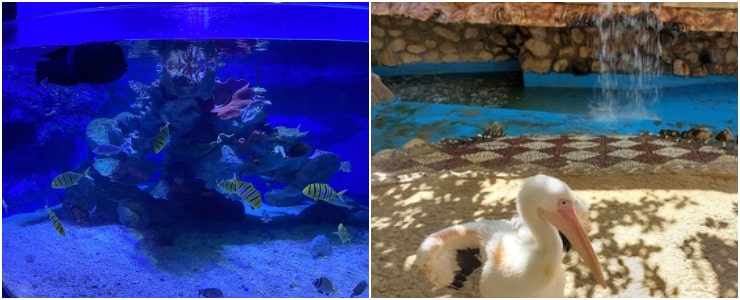 Hurghada Grand Aquarium