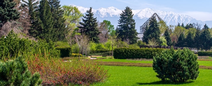 Almaty Botanical Garden 