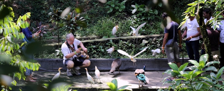 Kuala Lumpur Bird Park