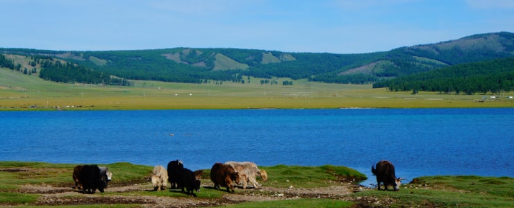 Khovsgol Lake