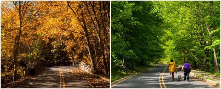 Adventure in Rock Creek Park 