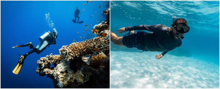 Diving & Snorkeling 