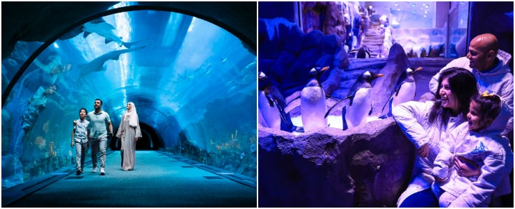 Dubai Aquarium and Underwater Zoo 