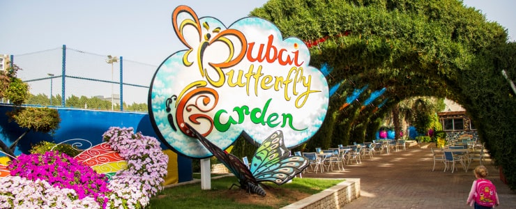 Dubai Butterfly Garden