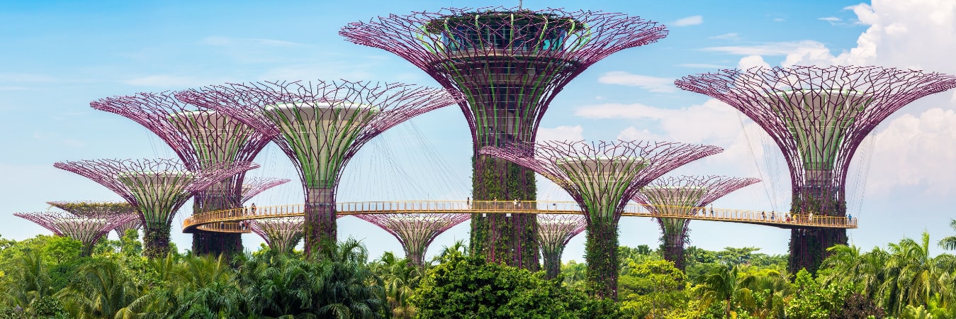 Gardens by the Bay in Singapore: A World of Nature and Wonder