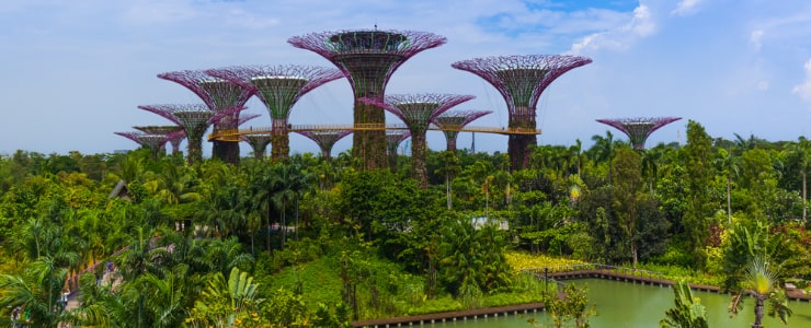 Gardens by the Bay