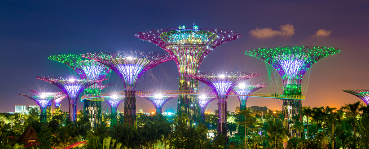 Supertree Grove and Light Show