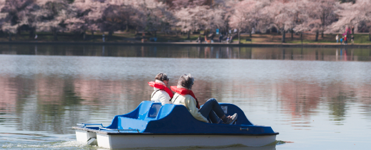 Tidal Basin Paddle Boats