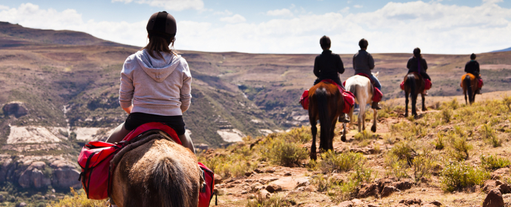 Horse Riding 