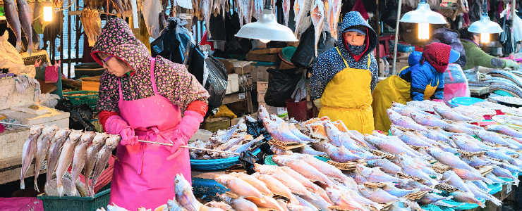 Jagalchi Market