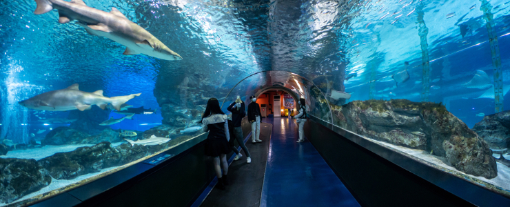 COEX Aquarium