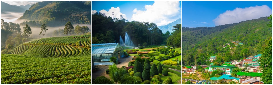 Top Attractions in Chiang Mai