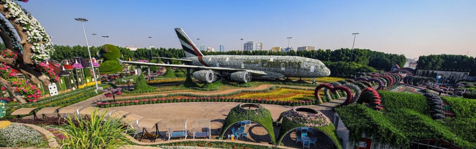 Dubai Miracle Garden