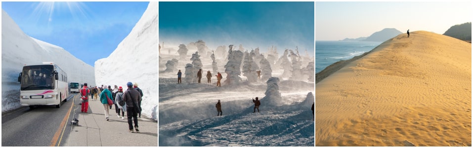 Nature Activities in Japan