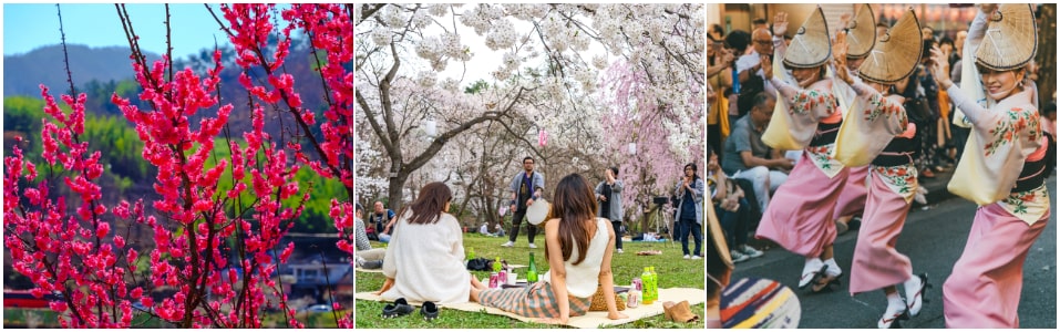 Festivals of Japan